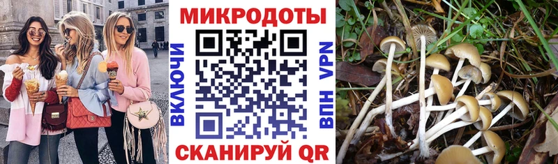 Галлюциногенные грибы Magic Shrooms Азов