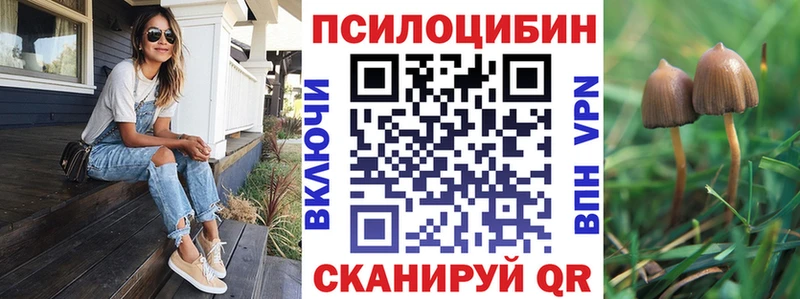 Купить закладки  Азов  Галлюциногенные грибы мицелий 